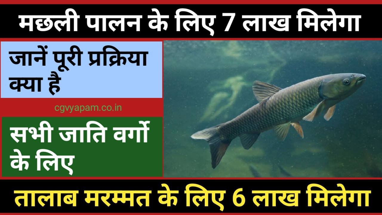 The government will give 7 lakh rupees for building ponds for fish farming