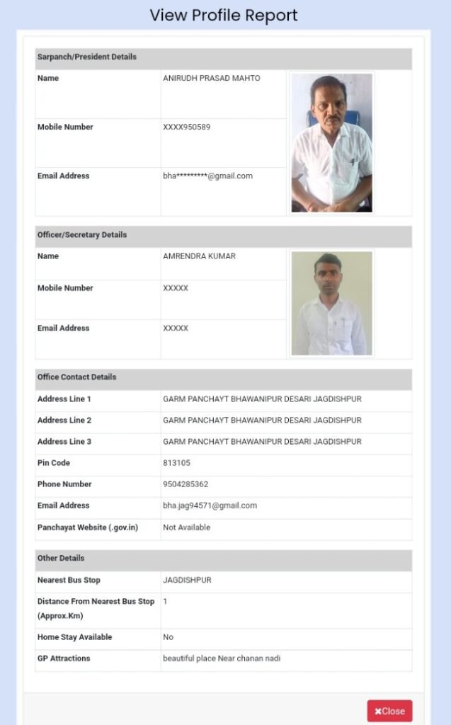 View profile report