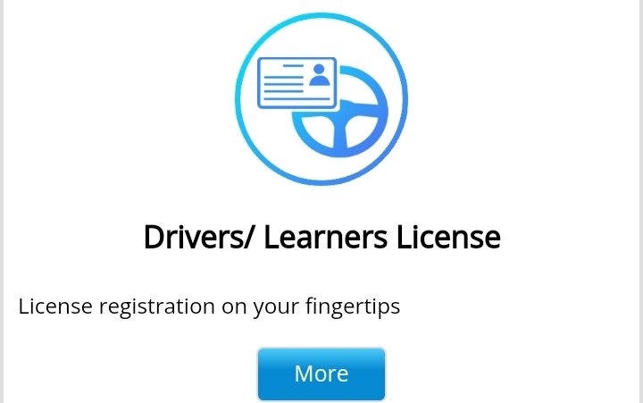 drivers/learners license