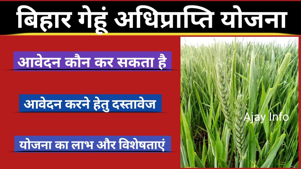 Bihar Gehu Adhiprapti Yojana