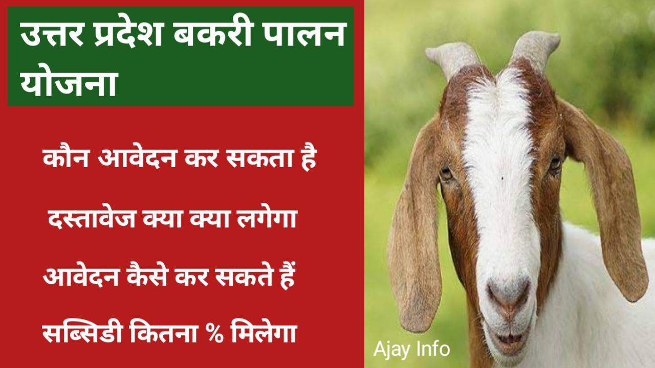 UP Bakri Palan Yojana