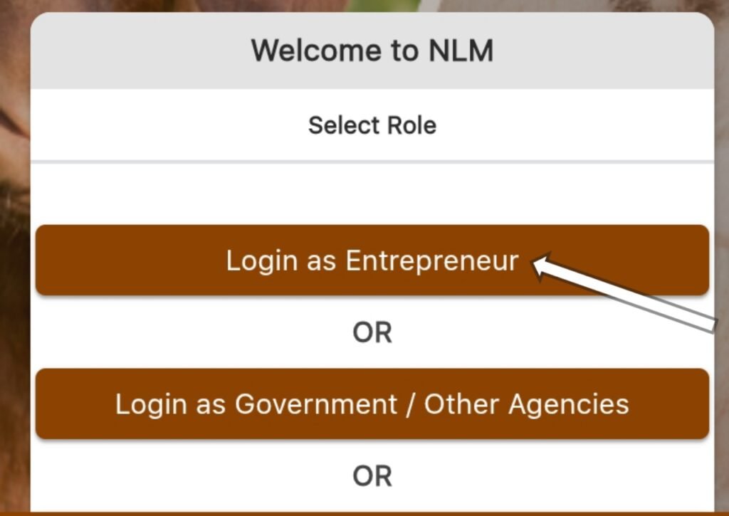 welcome to NLM - login as enterpreneur
