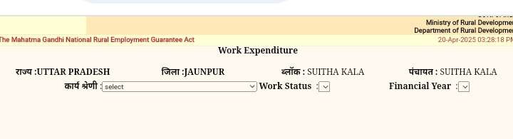 work expenditure